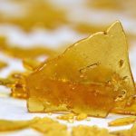 Cannabis Concentrates in Canada