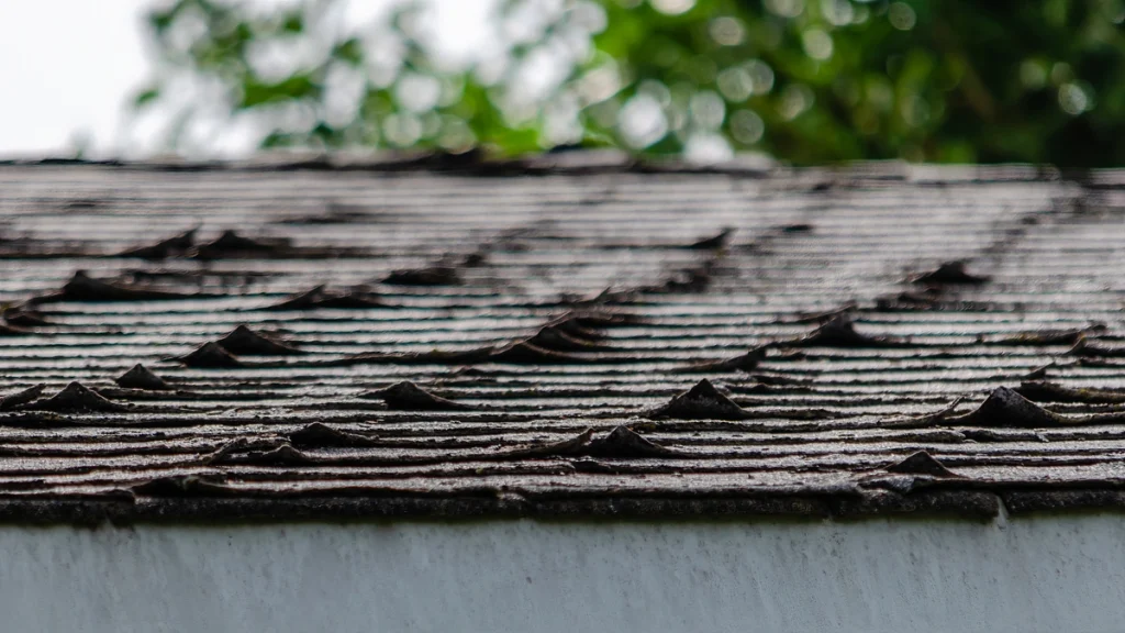 Handle a Roof Leak Emergency