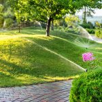 Best Landscaping Company