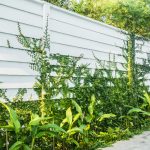 Fencing Contractors in Nottingham – Leading Fencing Company Nottingham Celebrates 25 Years of Excellence